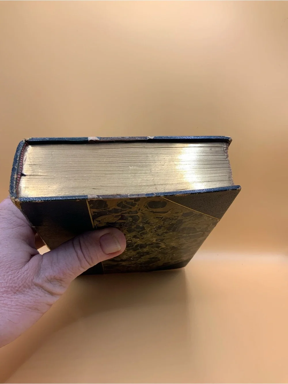 Longfellow's Complete Poetical Works 1902 (ML-006)